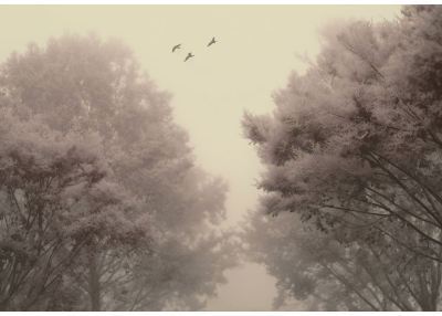 Флис Фототапет Пейзаж, художествен арт